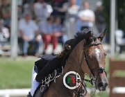 Dalla Mano Ernedelux CsioArJYR SS7 7161 : CSIO Giovani Arezzo, Dalla Mano Maria, Ernedelux, foto Stefano Secchi ©